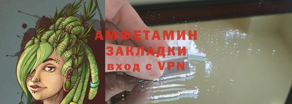 хмурый Арсеньев