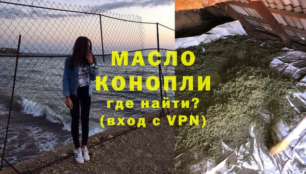 хмурый Арсеньев