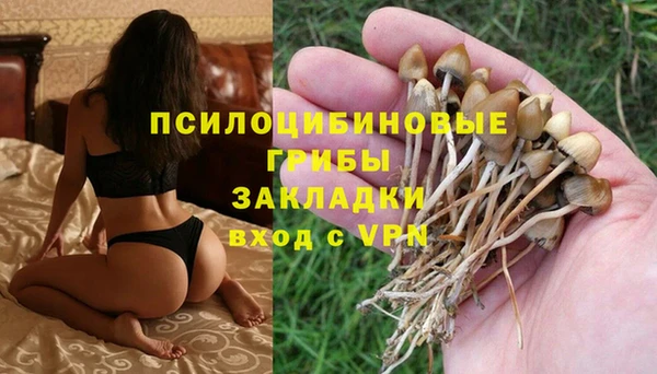 MESCALINE Аркадак
