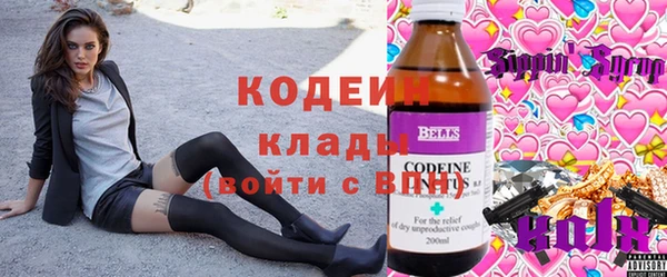 хмурый Арсеньев