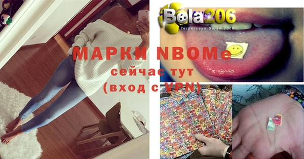 хмурый Арсеньев