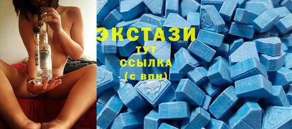 хмурый Арсеньев